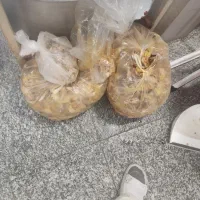 غذای سگ خام وپخته