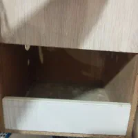 لون طوطی برزیلی ومرغ عیش در حویزه|پرنده|سوسنگرد, |دیوار