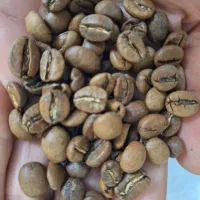 دان قهوه درجه یک|خوردنی و آشامیدنی|تهران, عباسی|دیوار