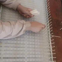 نیروی کار خانم