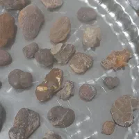 انواع سنگهای قیمتی ونیمه قیمتی|کلکسیون اشیاء عتیقه|بجنورد, |دیوار