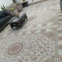 فروش گل برجسته کاملن سالم و تمیز