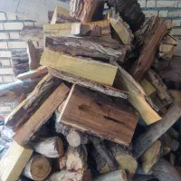 چوب توت خرد شده