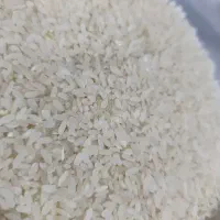 برنج کامفیروزی و خرده برنج