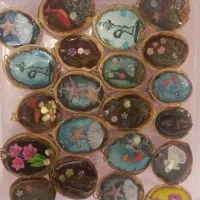 انواع جاسوییچی رزینی با قیمتهای مناسب