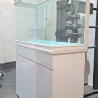 آکواریوم|ماهی|مشهد, نوده|دیوار