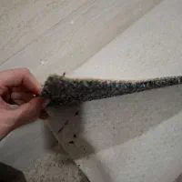 موکت نو ،فقط 300|موکت|اسلامشهر, شهرک قائمیه|دیوار