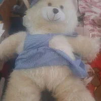 خرس بزرگ اندازه قد یک فرد