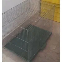 دوعدد قفس نو