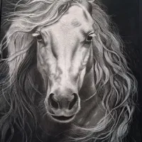 سفارش چهره سیاهقلم پذیرفته می‌شود