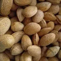 بادام