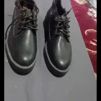 کفش|کیف، کفش، کمربند|ارومیه, |دیوار