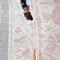 فرش|فرش|نجف‌آباد, حومه نجف آباد|دیوار