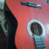 گیتار دیاموند اقتصادی