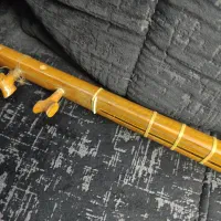 سه تار عزیزی