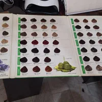 کاتالوگ رنگ مو|آرایشی، بهداشتی، درمانی|کرمانشاه, |دیوار