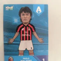 کارت مالدینی