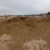 کود گوسفندی