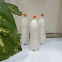 دوغ ارگانیک محلی تازه