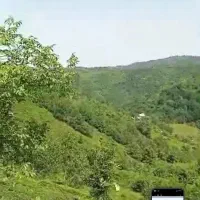 فروش ویژه دوقطعه زمین اطاقور|فروش دفتر صنعتی، کشاورزی، تجاری|اطاقور, |دیوار