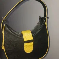 کیف دستی مجلسی