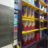 دزدگیر اماکن و دوربین مداربسته
