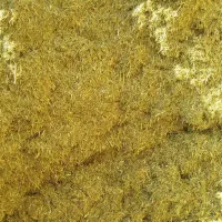 یونجه مرگور|لوازم جانبی حیوانات|ارومیه, |دیوار