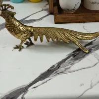 طاووس برنجی