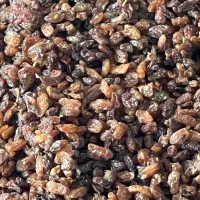 کشمش رضوی کاشمر|عمده‌فروشی|چالوس, |دیوار