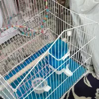 سلام قفس عنواع پرنده|لوازم جانبی حیوانات|تهران, شارق|دیوار