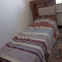 دو تخت یک نفره (بدون تشک)|تخت و سرویس خواب|کرمان, |دیوار