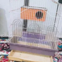 توری|مصالح و تجهیزات ساختمان|خواف, |دیوار