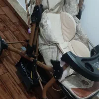 کالسکه دلیجان نو نو هست