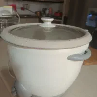 پلو پز|اجاق گاز و لوازم برقی پختوپز|کرج, باغستان|دیوار