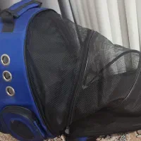 کیف عروس هلندی|کیف، کفش، کمربند|یاسوج, |دیوار