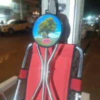 عصا صندلی دار