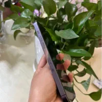 iPhone 14 Pro Max|موبایل|تهران, نیروی هوایی (پیروزی)|دیوار