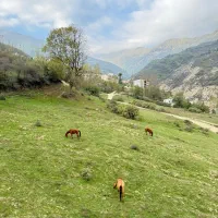 فروش-پروانه-چاه-آبی-شهری
