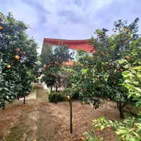 باغویلا2500مترسندو پروانه درختان مرکبات فریدونکنار|فروش خانه و ویلا|فریدون‌کنار, |دیوار