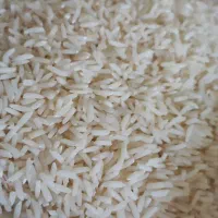 برنج هاشمی دره رود