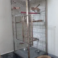 قفس بزرگ پرنده و طوطی سانان