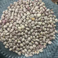 فروش لوبیا چیتی با کمترین قیمت