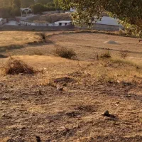 فروش-730-متر-زمین-داخل-بافت-روستای-شلمبه-دماوند