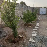 باغچه و ویلای نقلی روستایی
