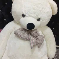 خرس شاسخین دومتری