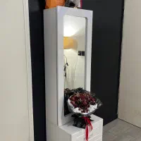 آیینه قدی|آینه|بابل, |دیوار