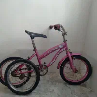 دوچرحه ۱۶