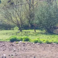 265متر زمین واقع مرزن آباد روستای پنجک
