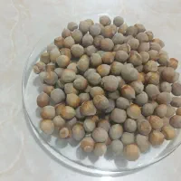 فندوق