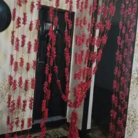 پرده ریسه